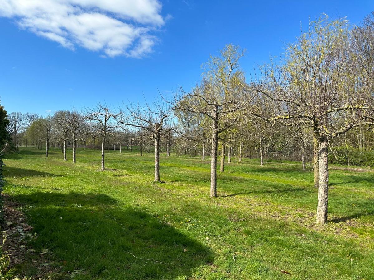 Stijlvol Huisje In De Brabantse Natuur! Tuynloodz B Beers  Exteriör bild